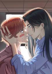 ��ϵ�̲�Ĺ����ֶ�