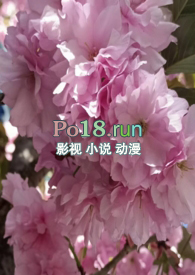 ����С��Ȫ