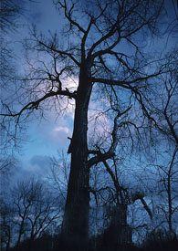 ֻ���㲻֪���ĺڷ���