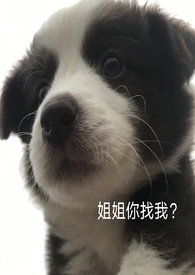 �����Ҽ񵽵�������