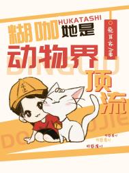 �������Ƕ���綥��