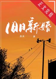 �����»�