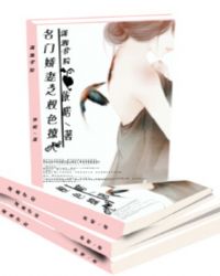 ���Ž���֮Ȩɫ����