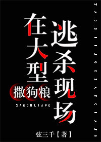 �ڴ��������ֳ�������