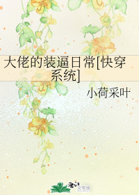 ���е�װ���ճ�[�촩ϵͳ]