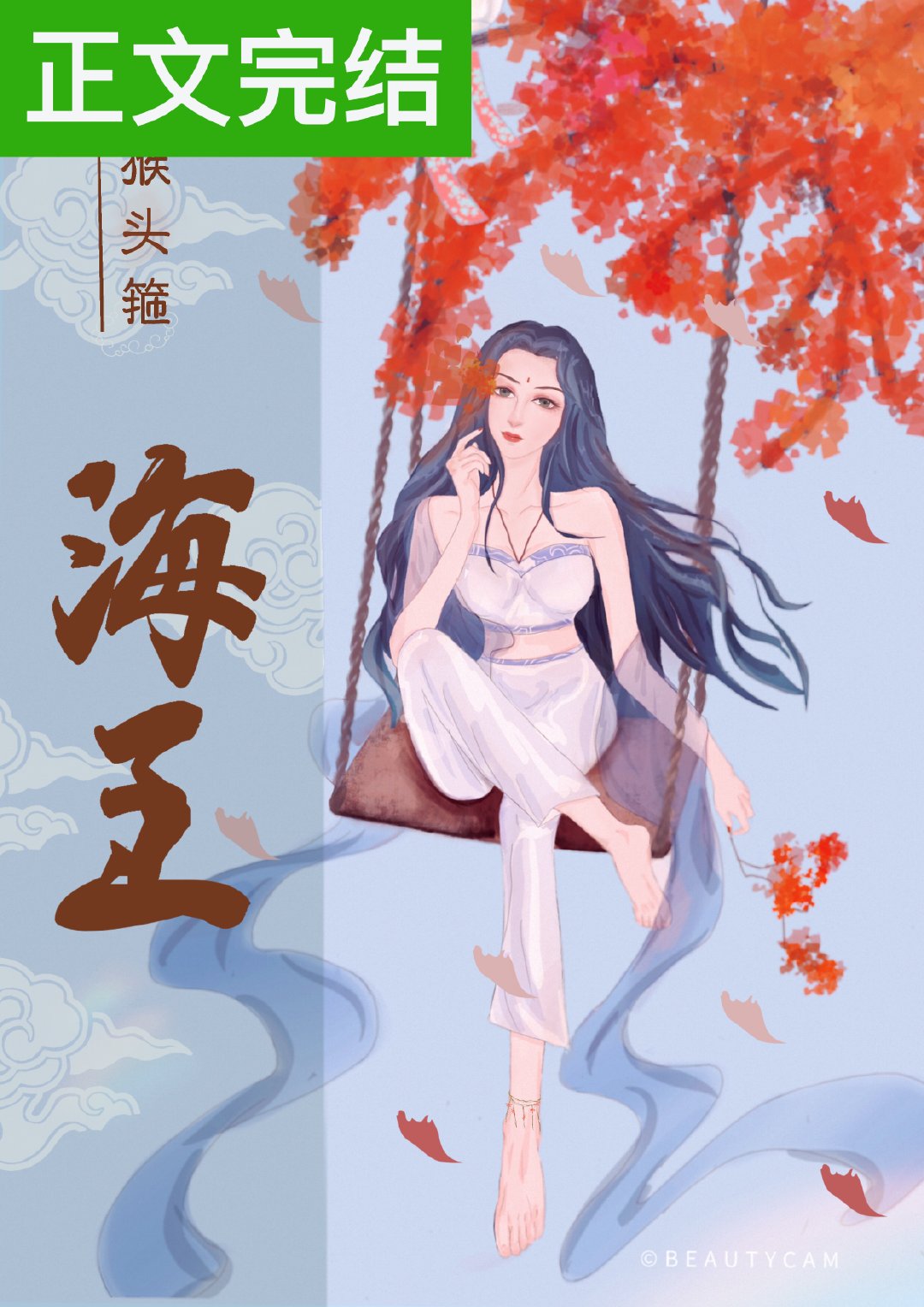 ������ò��������