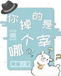 [����]��������ĸ���