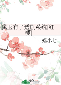 ��������͸��ϵͳ[��¥]