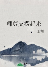 ʦ��֧������