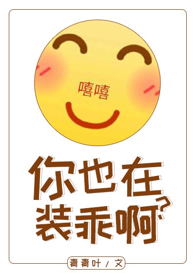 ��Ҳ��װ�԰�