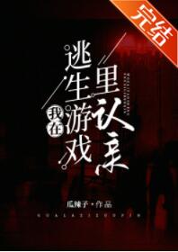 ����������Ϸ������