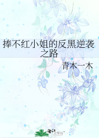 ������С��ķ�����Ϯ֮·