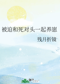 ���Ⱥ�����ͷһ������