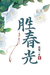 ָ��ʹ���˵����