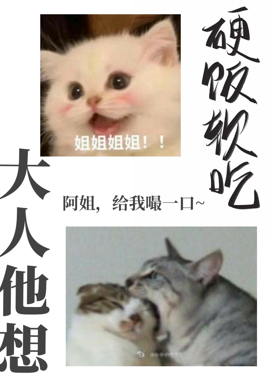 ��������Ӳ������